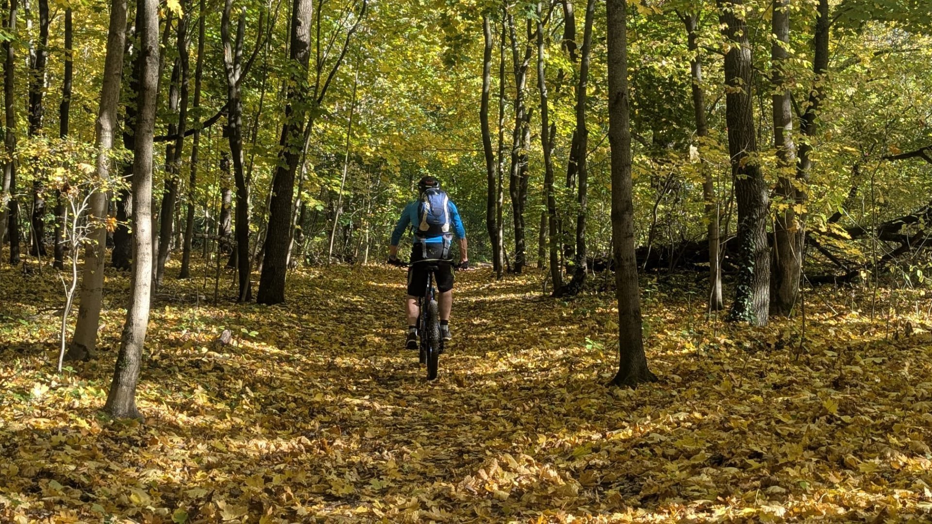 E-Bike kaufen für Camper – welches passt wirklich zu dir?